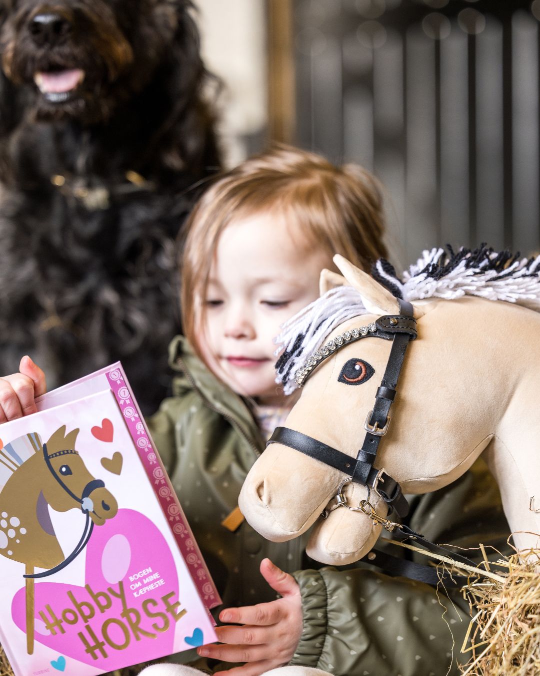 Hobby Horse - Bogen om mine kæpheste