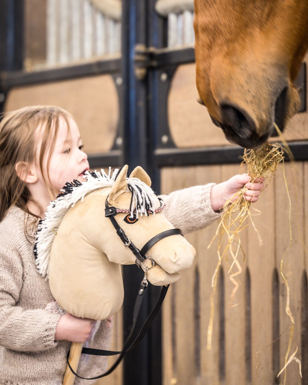 Pandebånd med pink sten
