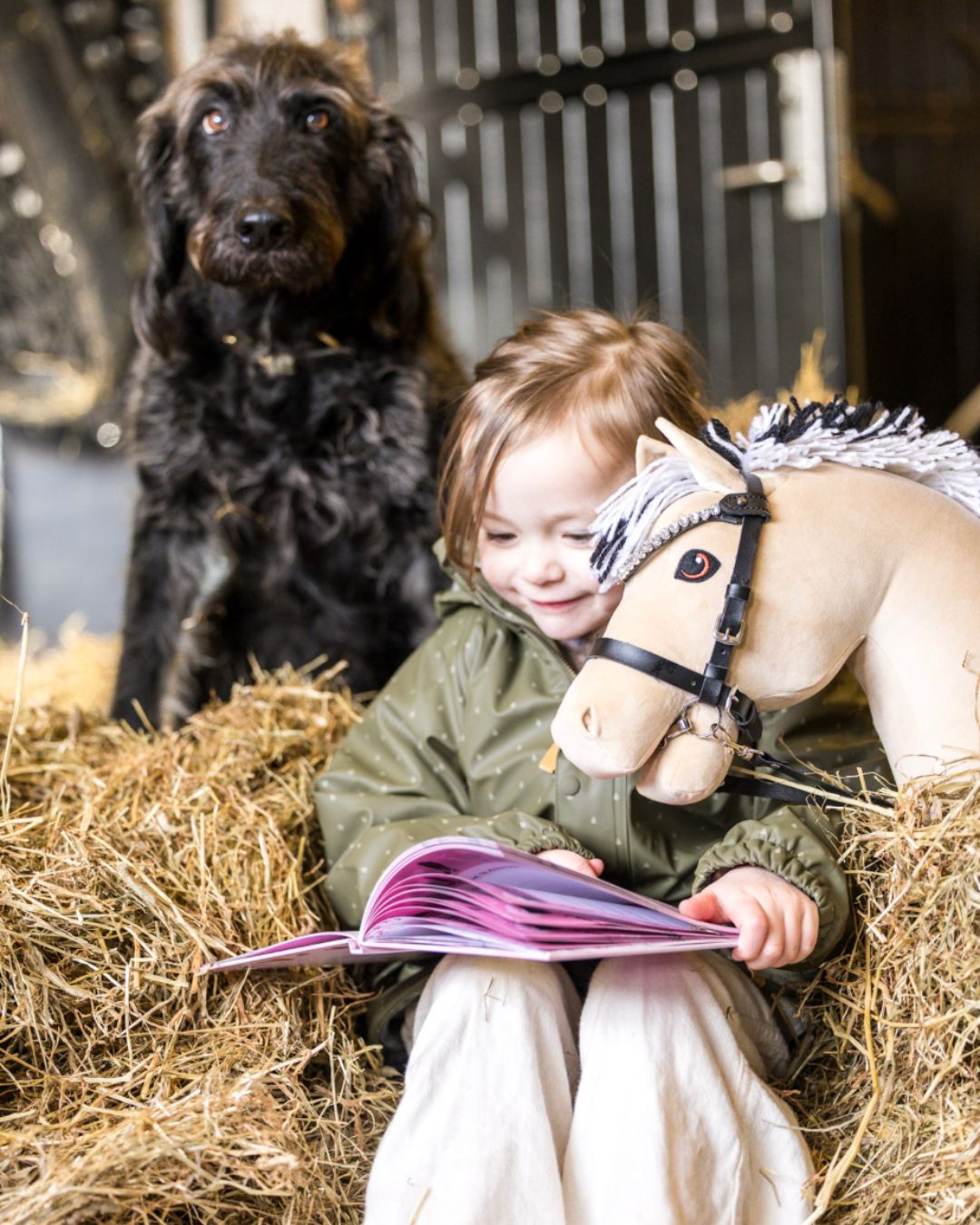Hobby Horse - Bogen om mine kæpheste